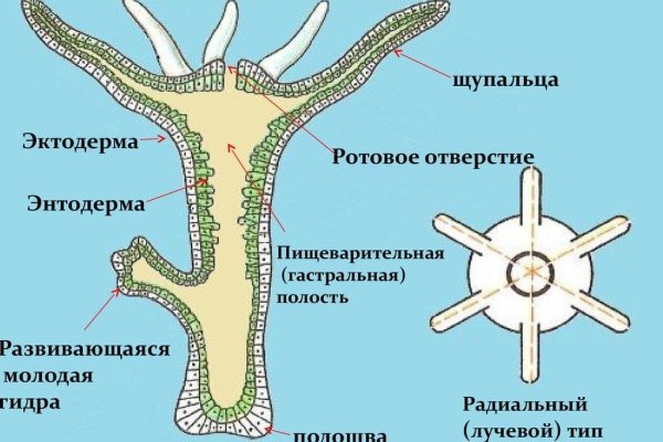 Кракен как зарегистрироваться