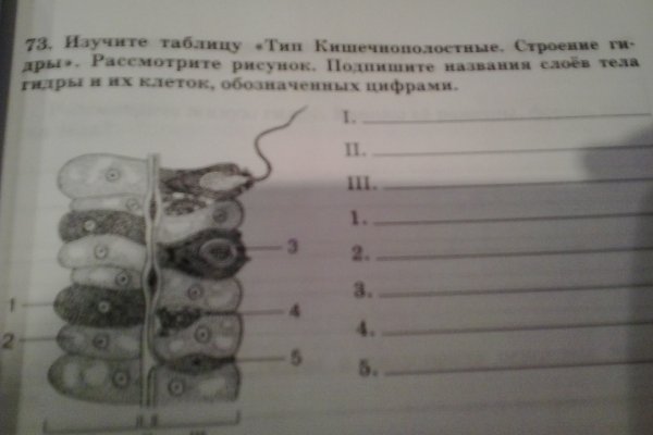 Кракен тор ссылка