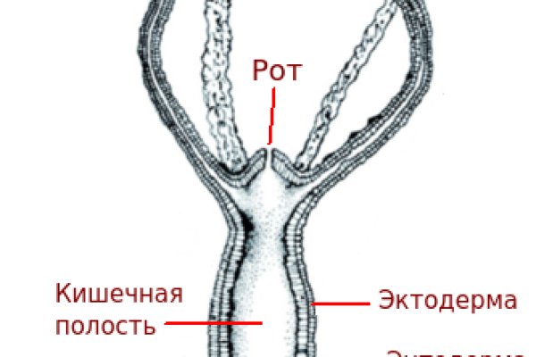 Вход кракен код